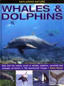 Explorarea naturii: Balene și delfini: Scufundați-vă în lumea acvatică a balenelor, delfinilor, narfalilor și rorcilor, toate prezentate în 190 de imagini spectaculoase - Exploring Nature: Whales & Dolphins: Dive Into the Watery World of Whales, Dolphins, Narwhals and Rorquals, All Shown in 190 Spectacular Images