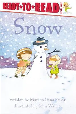 Zăpada - Snow