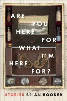 Ești aici pentru ceea ce sunt eu aici? - Are You Here for What I'm Here For?