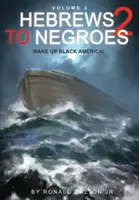 Evrei către negri 2 Volumul 3: Trezirea Americii Negre - Hebrews to Negroes 2 Volume 3: Wake Up Black America