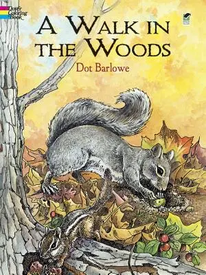 Carte de colorat A Walk in the Woods - A Walk in the Woods Coloring Book