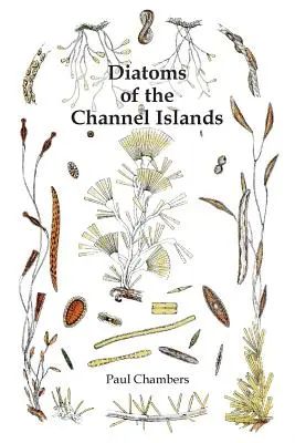 Diatomeele din insulele Canalului Mânecii - Diatoms of the Channel Islands