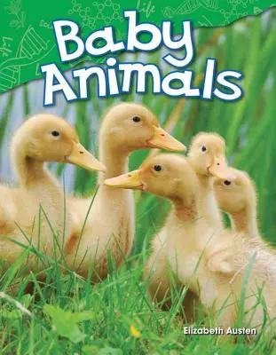 Pui de animale - Baby Animals