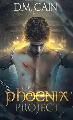 Proiectul Phoenix - The Phoenix Project