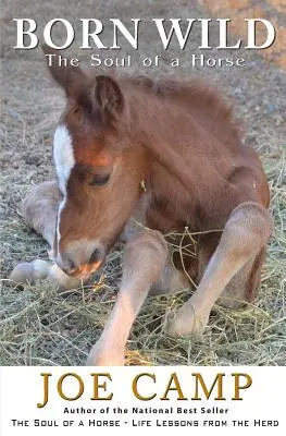 Born Wild - Sufletul unui cal - Born Wild - The Soul of a Horse