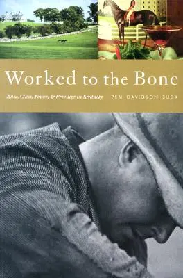 Worked to the Bone: O istorie a rasei, clasei, puterii și privilegiilor în Kentucky - Worked to the Bone: A History of Race, Class, Power, and Privilege in Kentucky