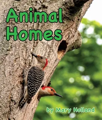 Casele animalelor - Animal Homes