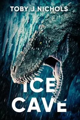 Peștera de gheață - Ice Cave