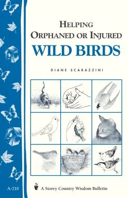 Ajutorarea păsărilor sălbatice orfane sau rănite: Buletinul Storey's Country Wisdom A-210 - Helping Orphaned or Injured Wild Birds: Storey's Country Wisdom Bulletin A-210