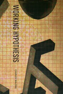 Ipoteza de lucru - Working Hypothesis