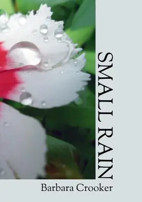 Ploaie mică - Small Rain