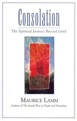 Consolarea: Călătoria spirituală dincolo de durere - Consolation: The Spiritual Journey Beyond Grief