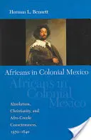 Africanii în Mexicul colonial: Absolutism, creștinism și conștiință afro-creolă, 1570-1640 - Africans in Colonial Mexico: Absolutism, Christianity, and Afro-Creole Consciousness, 1570-1640
