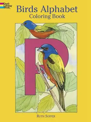 Carte de colorat cu alfabetul păsărilor - Birds Alphabet Coloring Book