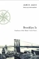 Brooklyn este: sud-estul insulei: Note de călătorie - Brooklyn Is: Southeast of the Island: Travel Notes