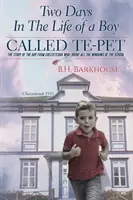 Două zile din viața unui băiat pe nume Te-pet: Povestea băiatului din Chezzetcook care a spart toate ferestrele școlii - Two days in the life of a boy called Te-pet: The story of the boy from Chezzetcook who broke all the windows of the school