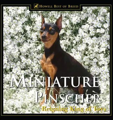 Pinscher în miniatură: Regele domnesc al jucăriilor - Miniature Pinscher: Reigning King of Toys
