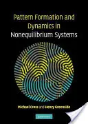 Formarea și dinamica modelelor în sistemele în neechilibru - Pattern Formation and Dynamics in Nonequilibrium Systems