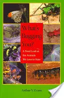 What's Bugging You? A Fond Look at the Animals We Love to Hate - What's Bugging You?: A Fond Look at the Animals We Love to Hate