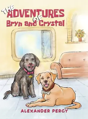 Aventurile lui Bryn și Crystal - The Adventures of Bryn and Crystal