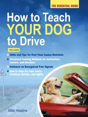 Cum să-ți înveți câinele să conducă: Ghidul esențial - How to Teach Your Dog to Drive: The Essential Guide