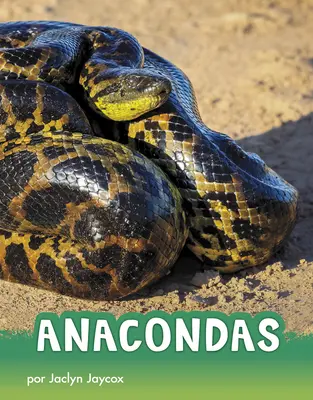 Anaconda - Anacondas