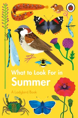 Ce să căutați vara - What to Look For in Summer