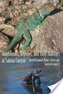 Amfibieni, reptile și habitatele lor la Sabino Canyon - Amphibians, Reptiles, and Their Habitats at Sabino Canyon