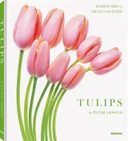 Lalele - Tulips