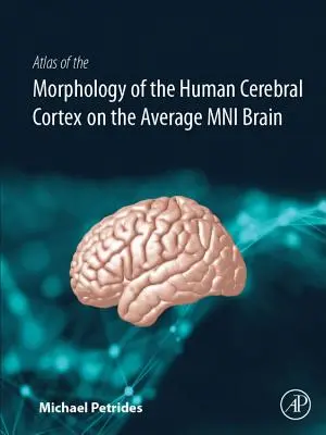 Atlas al morfologiei cortexului cerebral uman pe creierul mediu Mni - Atlas of the Morphology of the Human Cerebral Cortex on the Average Mni Brain