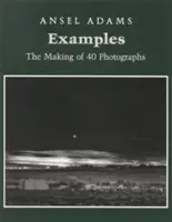 Exemple: The Making of 40 Photographs (Realizarea a 40 de fotografii) - Examples: The Making of 40 Photographs