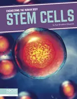 Celule stem - Stem Cells