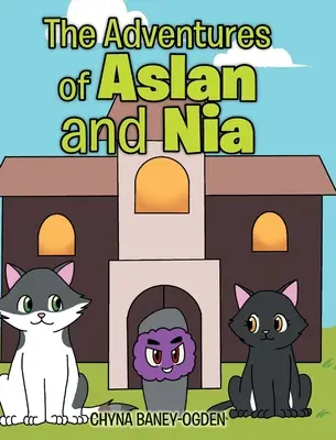 Aventurile lui Aslan și Nia - The Adventures of Aslan and Nia