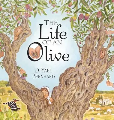 Viața unui măslin - The Life of an Olive
