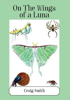 Pe aripile unei luni - On The Wings of a Luna