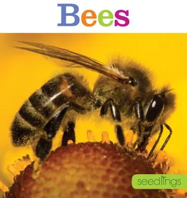 Răsaduri: Albine - Seedlings: Bees