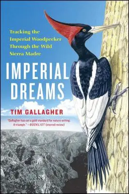 Vise imperiale: Urmărirea ciocănitoarei imperiale prin sălbăticie - Imperial Dreams: Tracking the Imperial Woodpecker Through the Wild