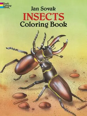 Insecte carte de colorat - Insects Coloring Book