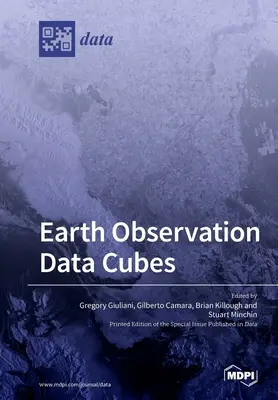 Cuburi de date pentru observarea Pământului - Earth Observation Data Cubes