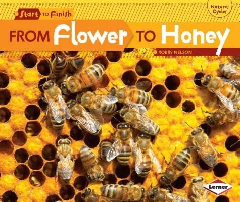De la floare la miere - From Flower to Honey