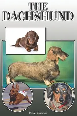 The Dachshund (Teckelul): A Complete and Comprehensive Owners Guide to: Cumpărarea, Deținerea, Sănătatea, Îngrijirea, Dresajul, Obediența, Înțelegerea și - The Dachshund: A Complete and Comprehensive Owners Guide to: Buying, Owning, Health, Grooming, Training, Obedience, Understanding and
