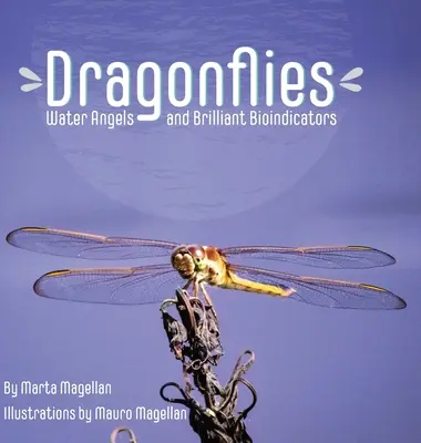Libelulele: Îngeri de apă și bioindicatori strălucitori - Dragonflies: Water Angels and Brilliant Bioindicators