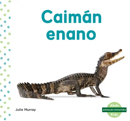Caimn Enano (Caiman pitic) - Caimn Enano (Dwarf Caiman)