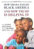 Cum a eșuat Obama cu America de culoare și cum o ajută Trump: Micul secret murdar pe care mass-media nu ți-l va spune - How Obama Failed Black America and How Trump is Helping It: The Dirty Little Secret that the Media Won't Tell You
