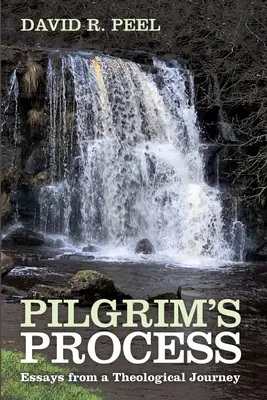 Procesul lui Pilgrim - Pilgrim's Process