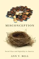 Concepție greșită: Clasa socială și infertilitatea în America - Misconception: Social Class and Infertility in America