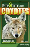 Mituri și adevăruri despre coioți: Ce trebuie să știți despre cel mai neînțeles prădător al Americii - Myths & Truths About Coyotes: What You Need to Know About America's Most Misunderstood Predator