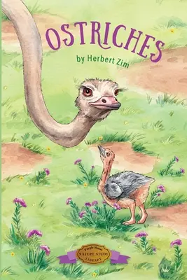 Struți - Ostriches