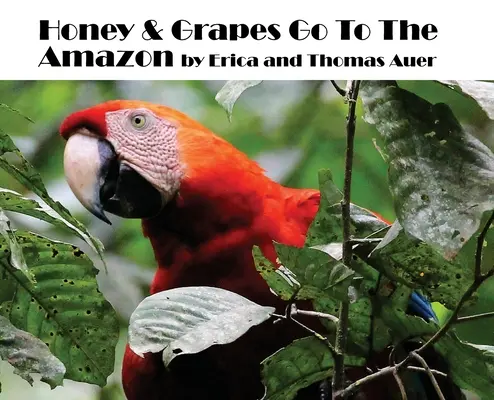 Mierea și strugurii merg pe Amazon - Honey & Grapes Go To The Amazon