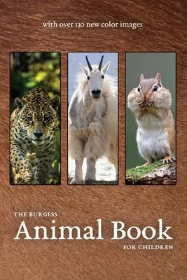 The Burgess Animal Book cu noi imagini color - The Burgess Animal Book with new color images